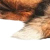 Стикер 29 ㅤᜊ 𝑎𝗎𝗍𝗎𝗆𝗇 𝗅𝖾𝗮𝖿