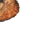 Стикер 30 ㅤᜊ 𝑎𝗎𝗍𝗎𝗆𝗇 𝗅𝖾𝗮𝖿