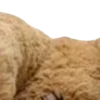 Стикер 50 ㅤᜊ 𝑎𝗎𝗍𝗎𝗆𝗇 𝗅𝖾𝗮𝖿