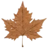 Стикер 42 ㅤᜊ 𝑎𝗎𝗍𝗎𝗆𝗇 𝗅𝖾𝗮𝖿