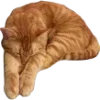 Стикер 34 ㅤᜊ 𝑎𝗎𝗍𝗎𝗆𝗇 𝗅𝖾𝗮𝖿
