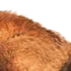 Стикер 21 ㅤᜊ 𝑎𝗎𝗍𝗎𝗆𝗇 𝗅𝖾𝗮𝖿