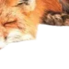 Стикер 28 ㅤᜊ 𝑎𝗎𝗍𝗎𝗆𝗇 𝗅𝖾𝗮𝖿