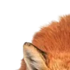 Стикер 19 ㅤᜊ 𝑎𝗎𝗍𝗎𝗆𝗇 𝗅𝖾𝗮𝖿