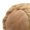 Стикер 49 ㅤᜊ 𝑎𝗎𝗍𝗎𝗆𝗇 𝗅𝖾𝗮𝖿