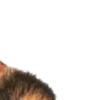 Стикер 22 ㅤᜊ 𝑎𝗎𝗍𝗎𝗆𝗇 𝗅𝖾𝗮𝖿