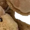 Стикер 59 ㅤᜊ 𝑎𝗎𝗍𝗎𝗆𝗇 𝗅𝖾𝗮𝖿