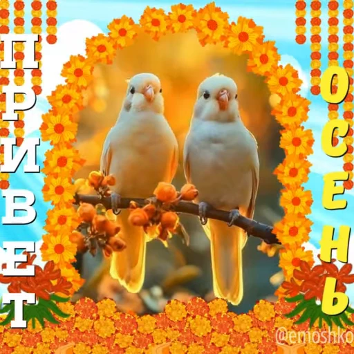 🍁 Стикер «Осень» для Telegram