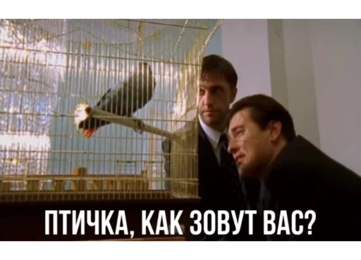 🦜 Стикер «Бригада» для Telegram