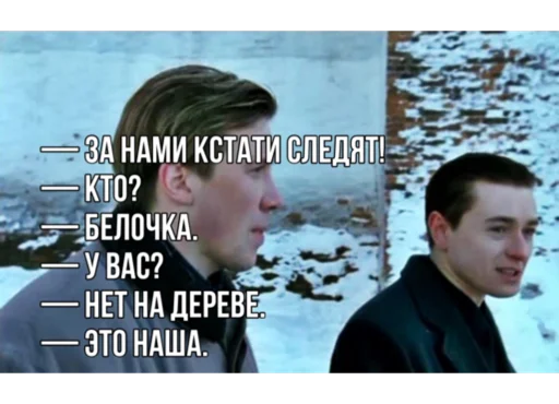 🐿 Стикер «Бригада» для Telegram