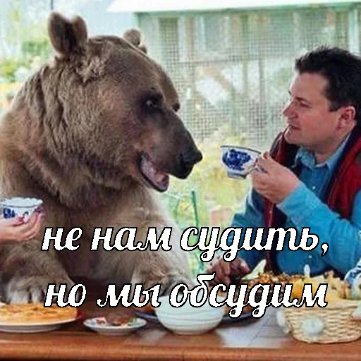 🗣 Стикер «AVENZOO» для Telegram