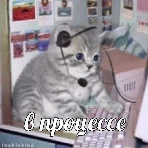 ⏱ Стикер «AVENZOO» для Telegram