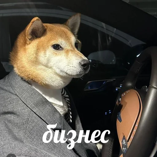 💰 Стикер «AVENZOO» для Telegram