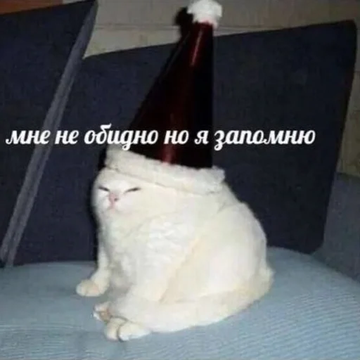 🥲 Стикер «AVENZOO» для Telegram