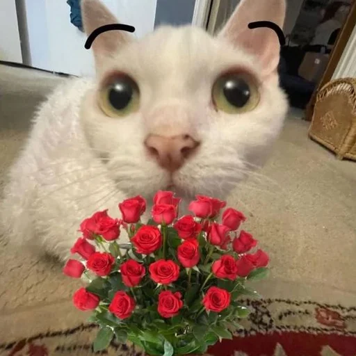 🌼 Стикер «AVENZOO» для Telegram