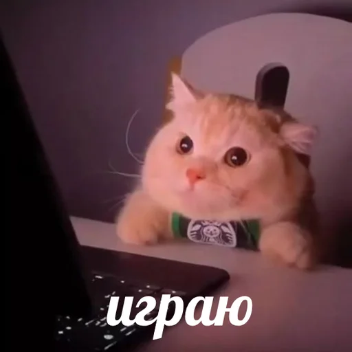 🎮 Стикер «AVENZOO» для Telegram