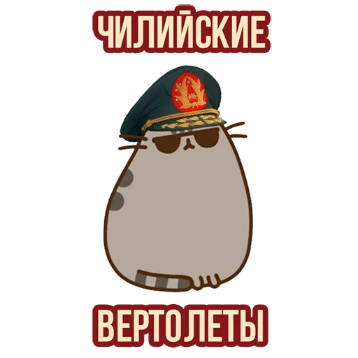 🚁 Стикер «Д7 pusheen» для Telegram