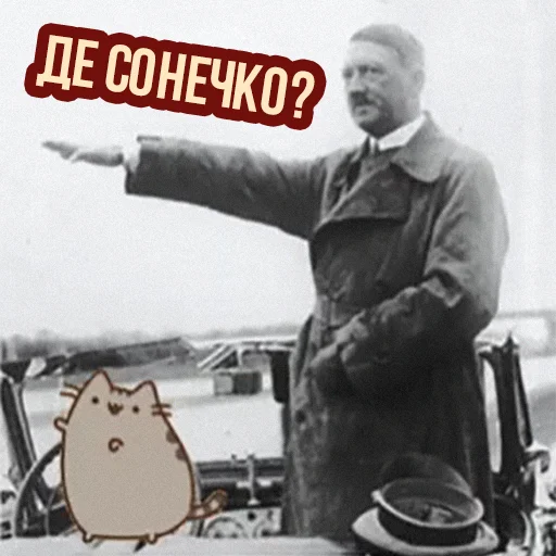 🌞 Стикер «Д7 pusheen» для Telegram