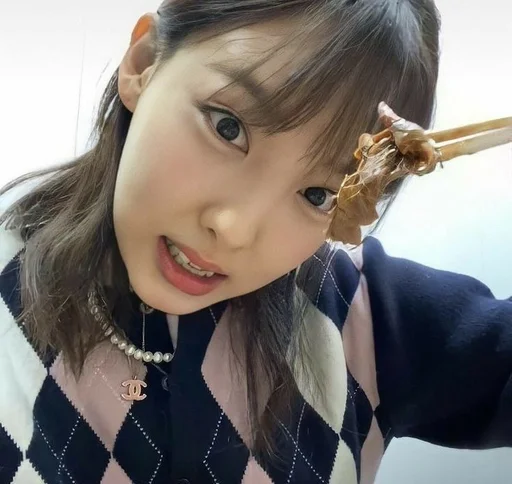 🤎 Стикер «nayeon» для Telegram