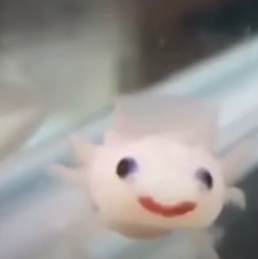 🫧 Стикер «Axolotl» для Telegram