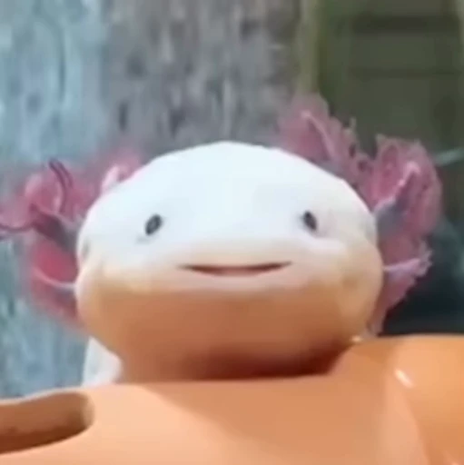 🫧 Стикер «Axolotl» для Telegram
