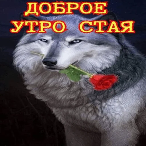 ☀️ Стикер «ахуенна ууоуоу» для Telegram