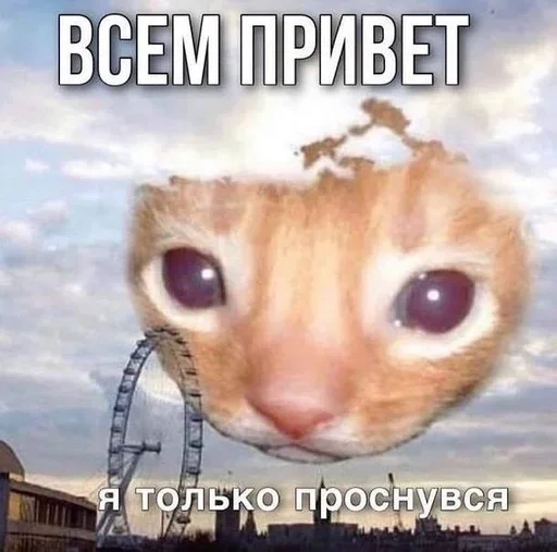 ☀️ Стикер «ахуенна ууоуоу» для Telegram