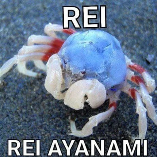 🦀 Стикер «rei ayanami» для Telegram