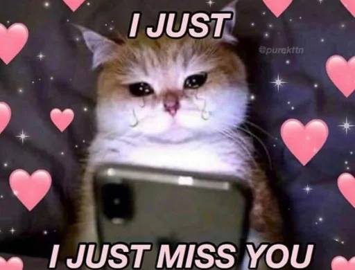 🐱 Стикер «meong» для Telegram