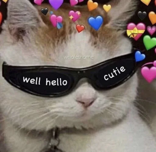 🐱 Стикер «meong» для Telegram