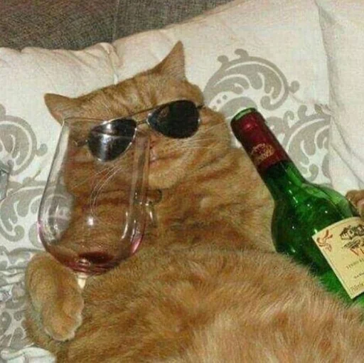 🐱 Стикер «meong» для Telegram