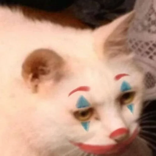 🐱 Стикер «meong» для Telegram