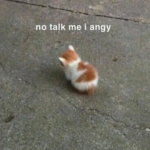 🐱 Стикер «meong» для Telegram