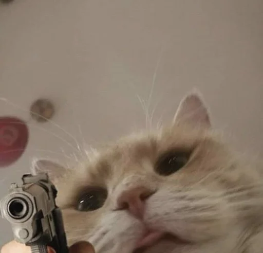 🐱 Стикер «meong» для Telegram