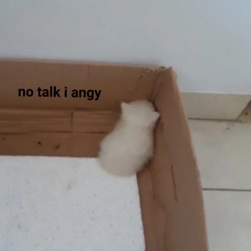 🐱 Стикер «meong» для Telegram