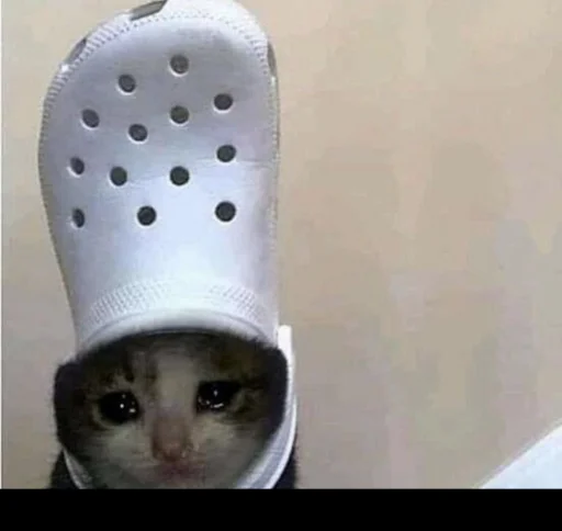 🐱 Стикер «meong» для Telegram