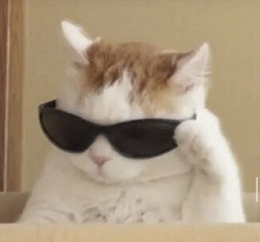 🐱 Стикер «meong» для Telegram