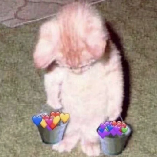 🐱 Стикер «meong» для Telegram
