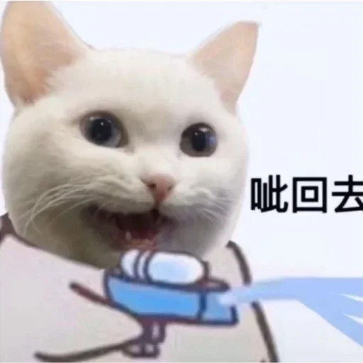 🤪 Стикер «爱生活，爱阿正» для Telegram