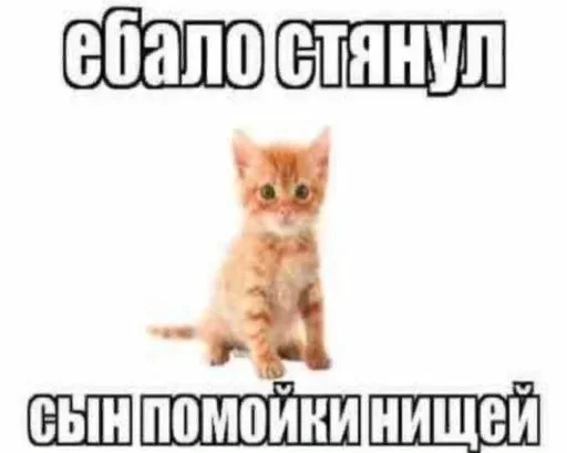 ❤️ Стикер «Конец света» для Telegram
