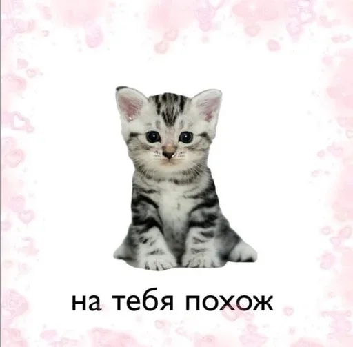 🫶 Стикер «Конец света» для Telegram
