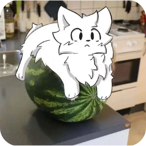 🍉 Стикер «Глупый бойкиссер» для Telegram