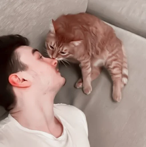 🧷 Стикер «-ˋˏ ˌ fuwuchi» для Telegram