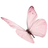 Стикер 9 Pinkie #status #color #pink #girl