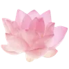 Стикер 5 Pinkie #status #color #pink #girl