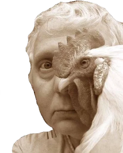 🐓 Стикер «Doora» для Telegram