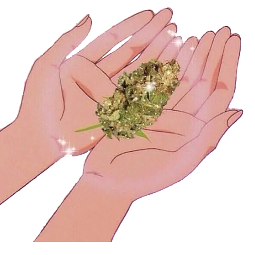 🥦 Стикер «Doora» для Telegram