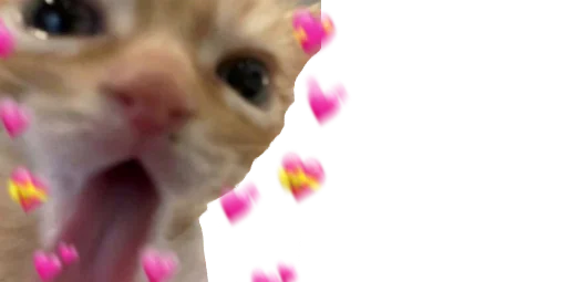 🥰 Стикер «b» для Telegram