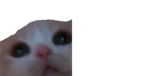 🥺 Стикер «b» для Telegram