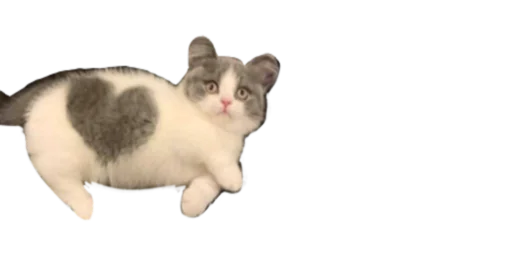 ❤️ Стикер «b» для Telegram